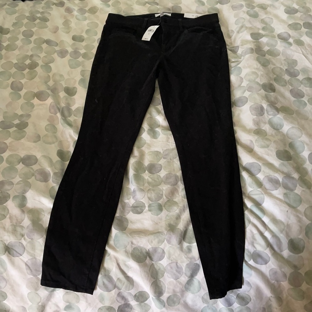 Loft Pants